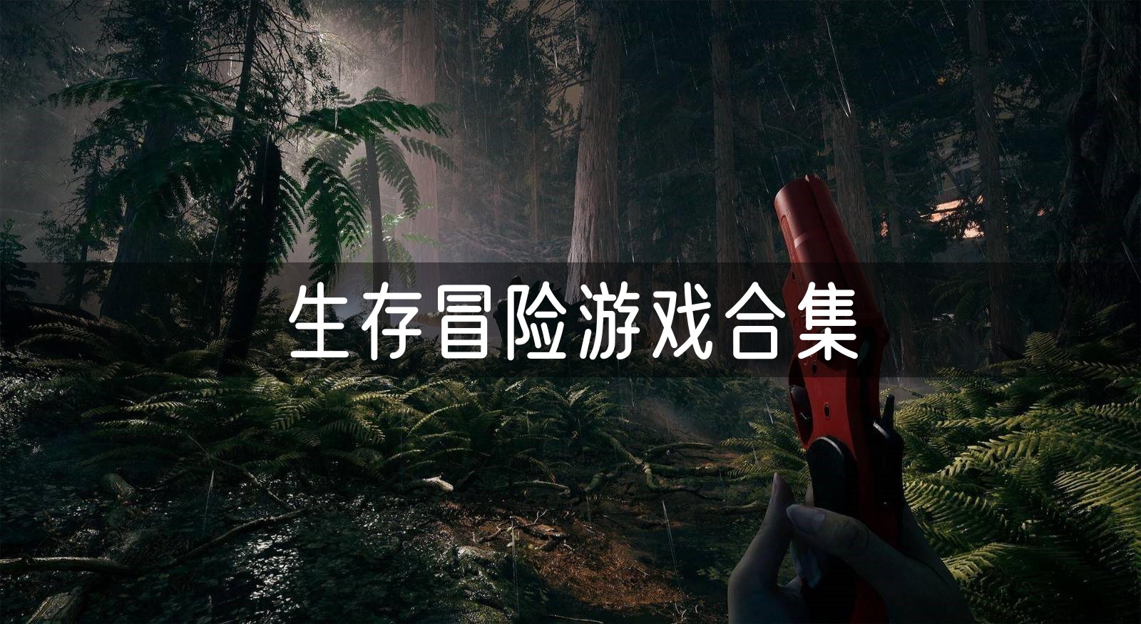 生存冒险游戏