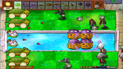 植物大战僵尸95版合集