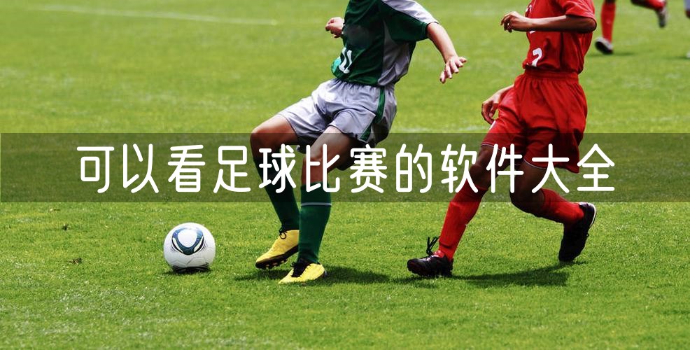 看足球比赛的软