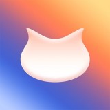 飞猫盘官方