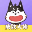 皮肤大佬最新版