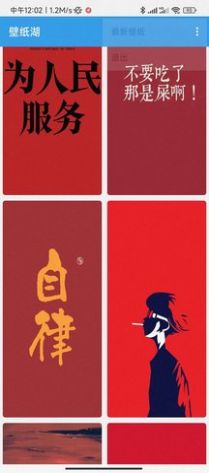 壁纸湖app