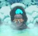 雪屋温泉旅馆小熊移植最新版
