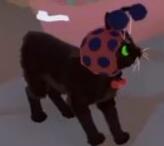 死亡岛激流终极版轩辕汉化组汉化补丁