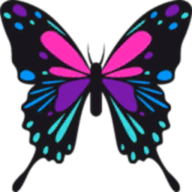 流星蝴蝶剑无限气版