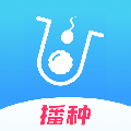 试管婴儿播种网