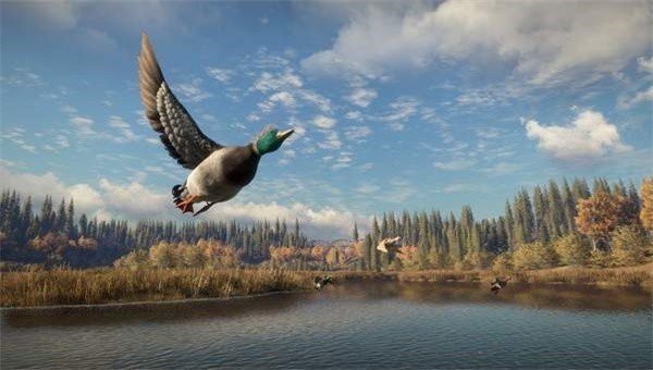 猎人荒野的召唤截图3