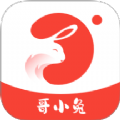 哥小兔