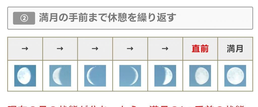 怪物猎人荒野珠子怎么刷