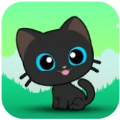 抓鸟的猫