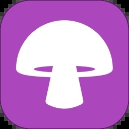 蘑菇视频免费版