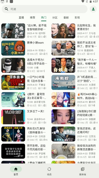 piliplus github截图2