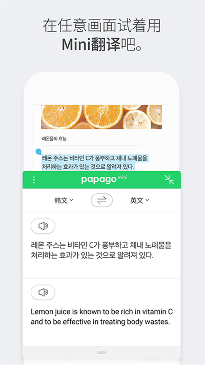 papago翻译截图1