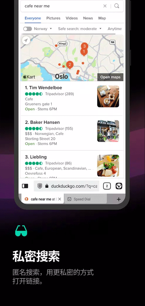 Vivaldi浏览器截图1