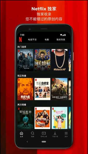 netflix安卓版截图1