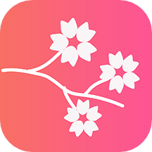 桃花相机ins特效拍照