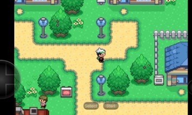 口袋妖怪空之花神补完版截图3