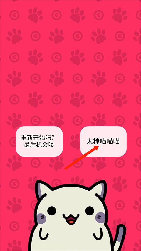 小偷猫中文版