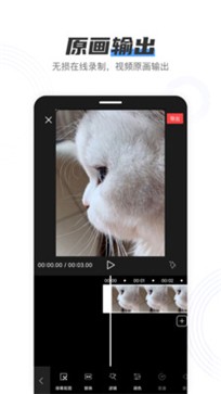 小白录屏软件截图3