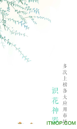 拍照识别免费版截图3