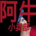 阿牛小卖部自制游戏