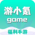 游小氪游戏app官方版