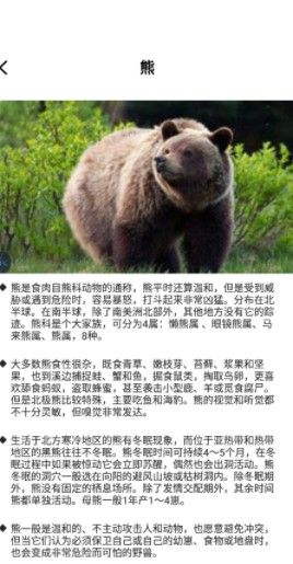 最强动物园截图1