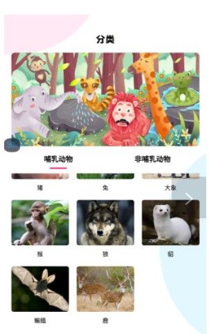 最强动物园截图2