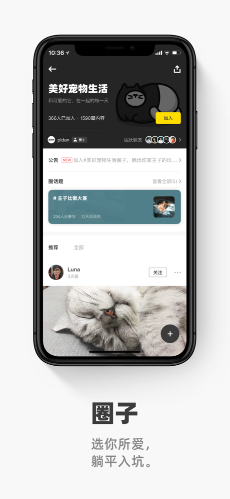 躺平最新截图3